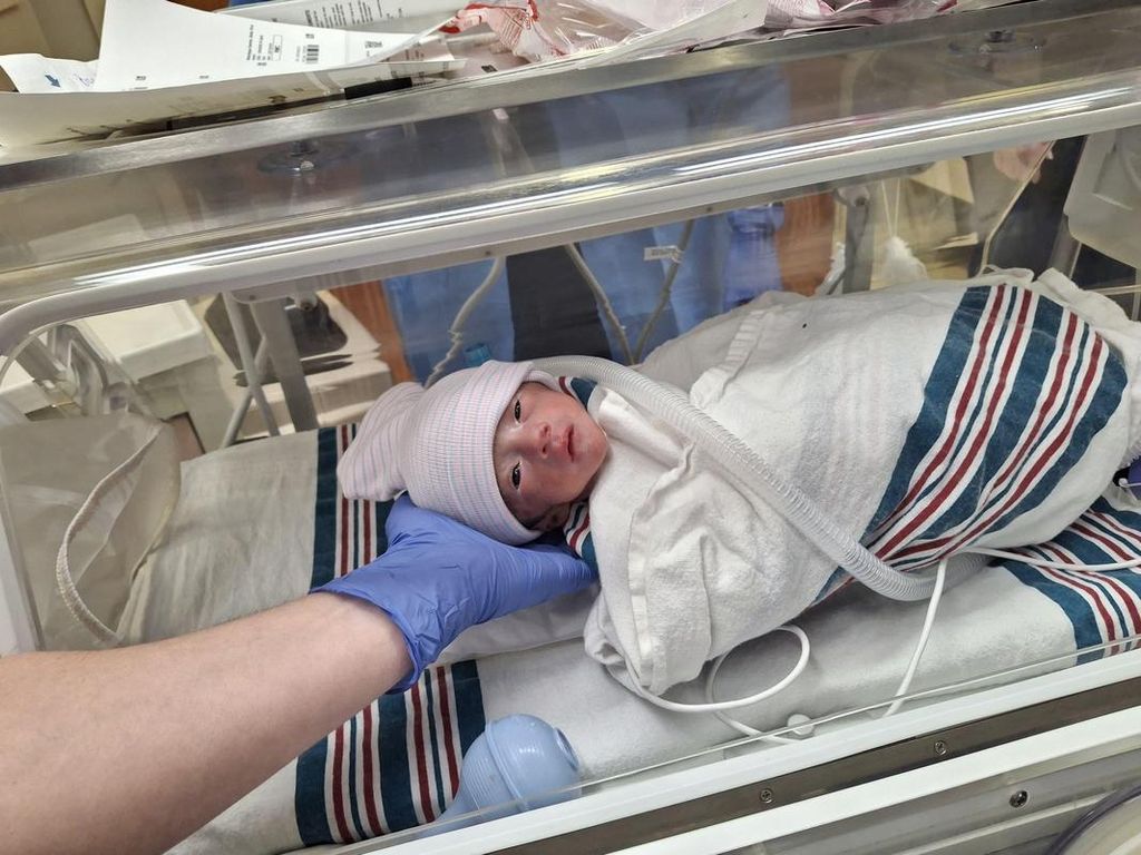 Liam Aiden Hernandez Mazariegos Profile Photo