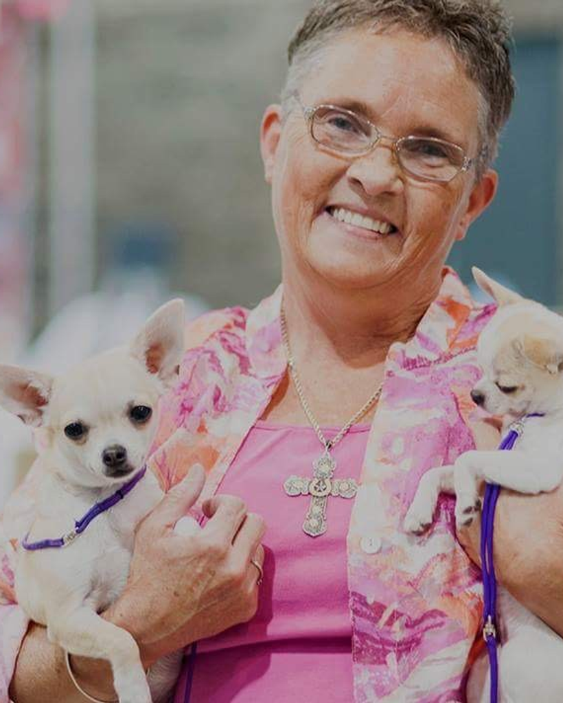 Darleen S. Wheelington Profile Photo