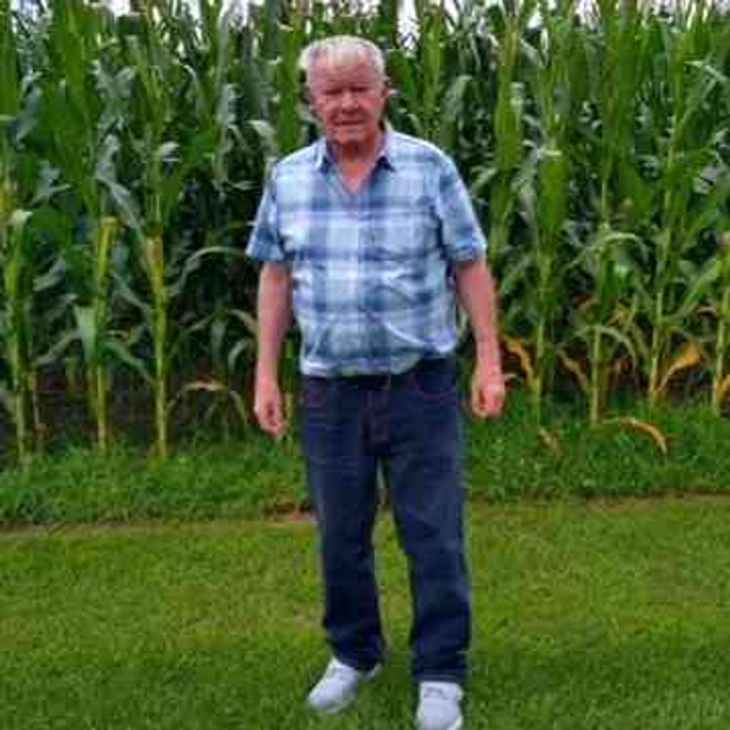 Donald Frederick Stein Profile Photo