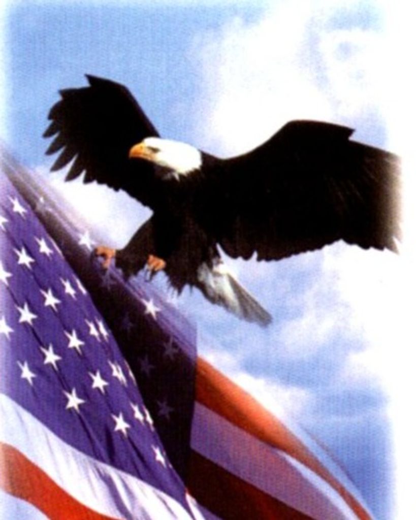 Robert M. Castelli Profile Photo