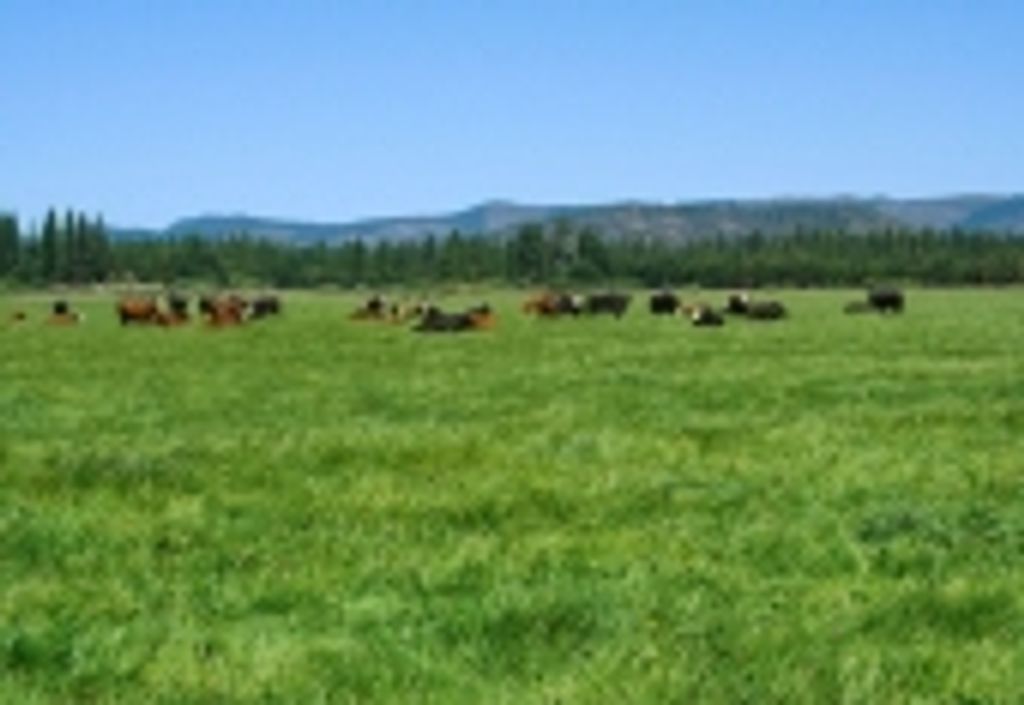 Fred Herbert Reimer Profile Photo