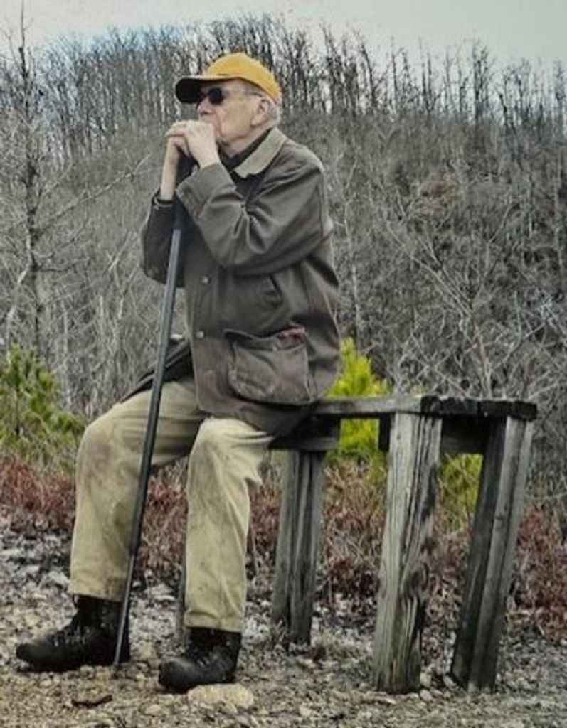 David Holloman Profile Photo