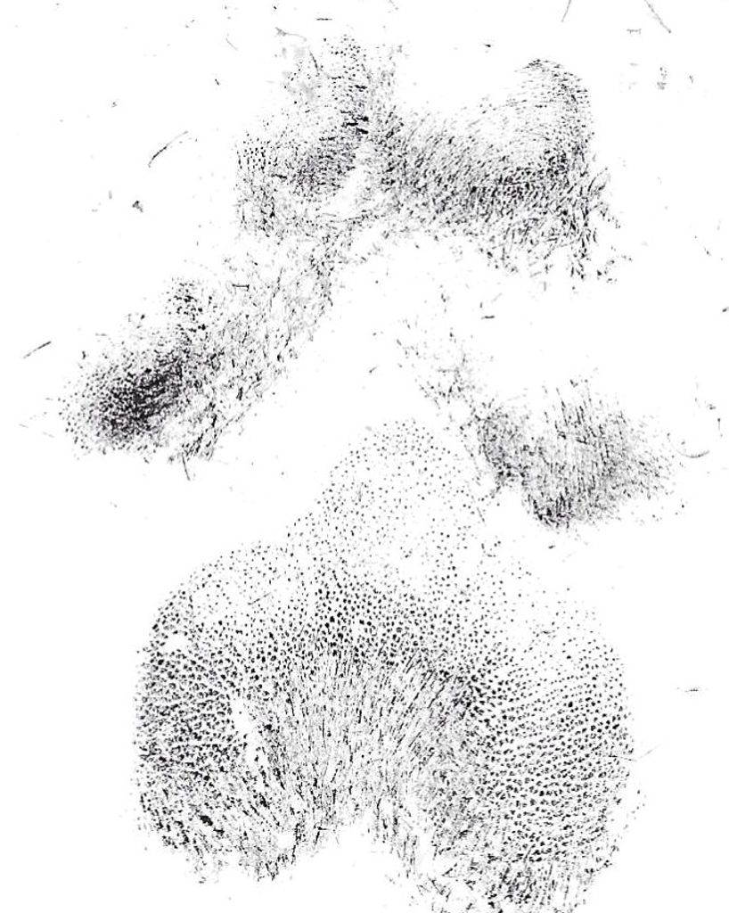 Cooper Brown Profile Photo