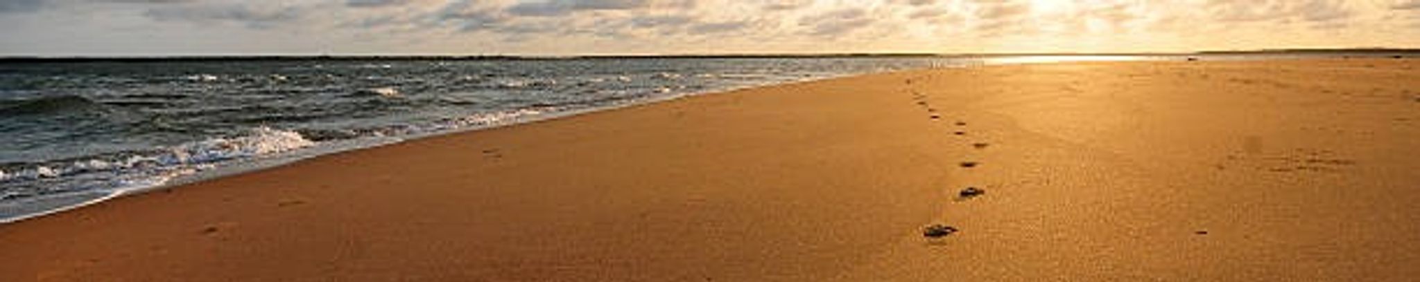 Cover photo for Lisa Renay Gallagher's Obituary