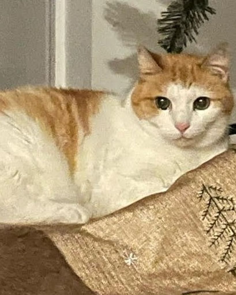 Patches Winkler Profile Photo