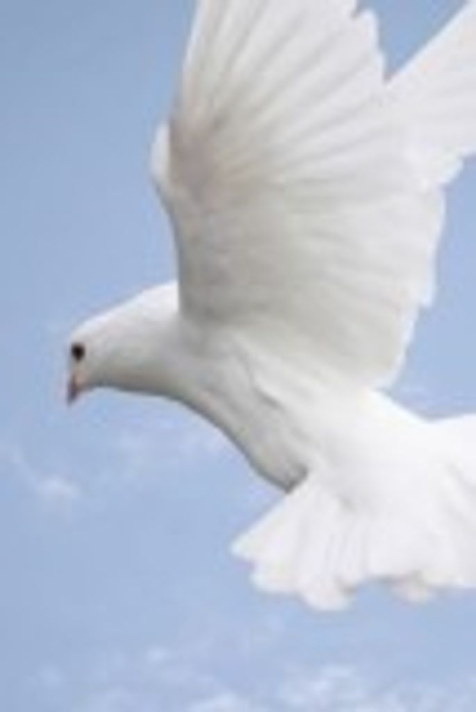 Clarice  Jean Stewart Profile Photo