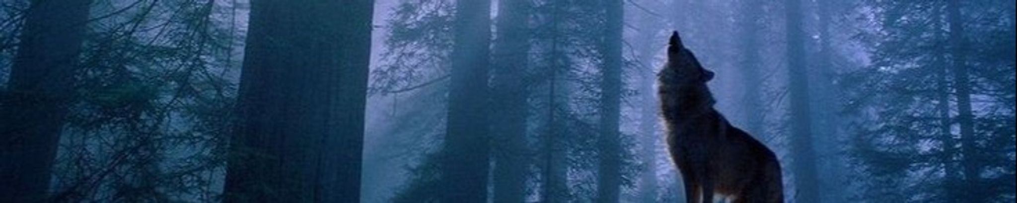Cover photo for John LaCroix's Obituary