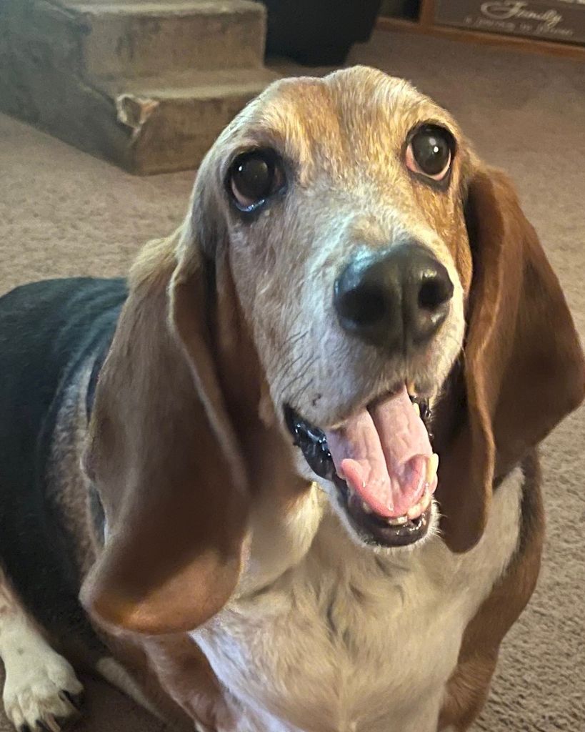 Bentley Hakes Profile Photo