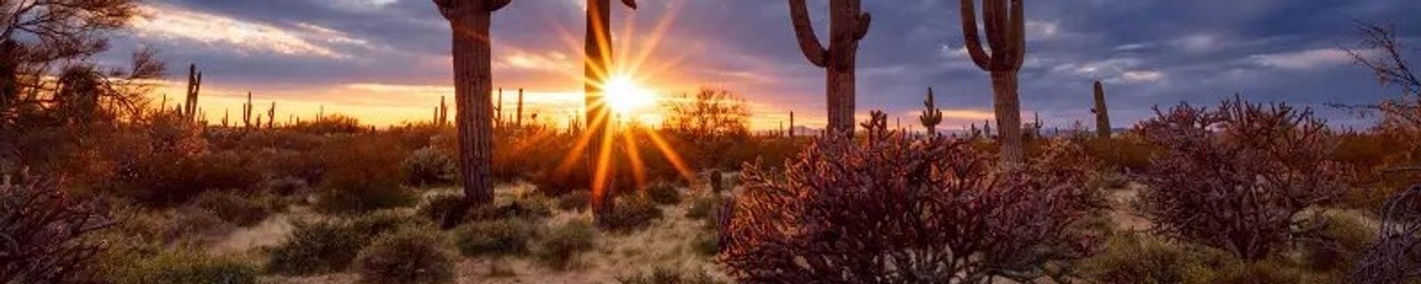 Cover for Juanita Jean Lenstrohm's Obituary