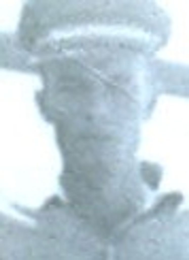 Harvie Shields Hardy Profile Photo
