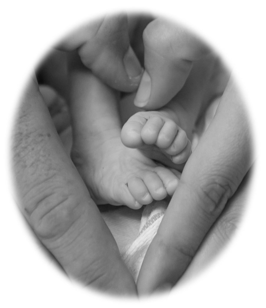 Merlette Lane Ronallo