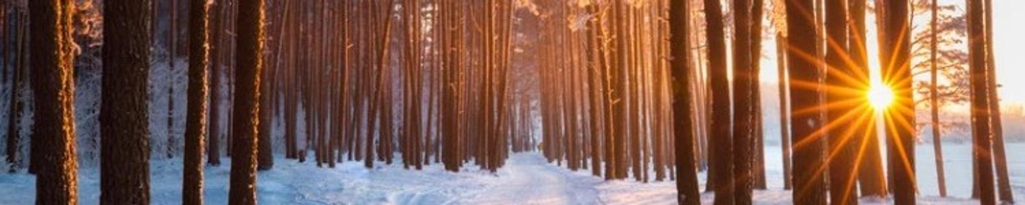 Cover for Dennis "DJ" Jack Gilbertson's Obituary