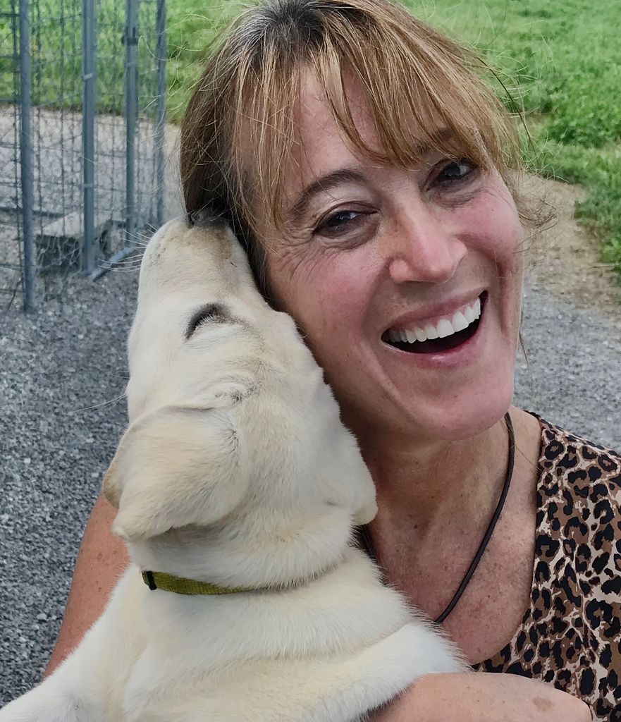 Dr. Debra S. Reiner, D.D.S. Profile Photo