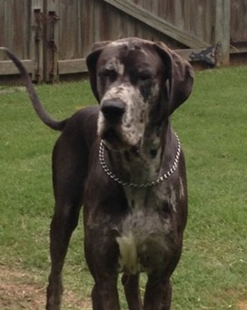 Diesal James