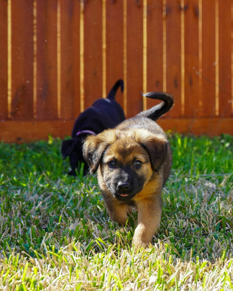 Kristen Noelle Loudon Profile Photo