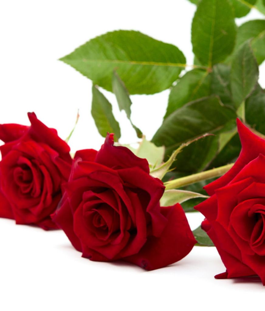 Bonnie Yeater Mcelhiney