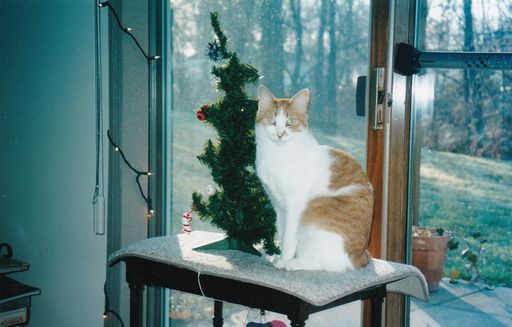 Margery A Schenk photo gallery thumbnail 125 of 125