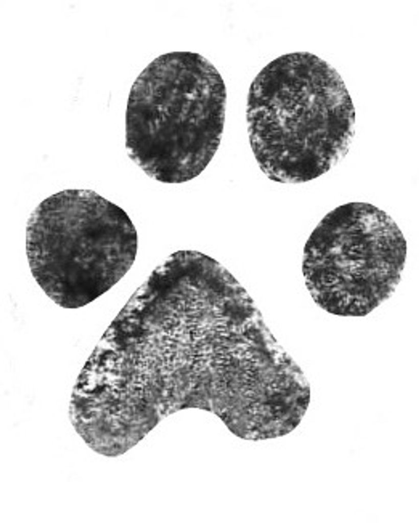 Peanut Hartsoe Profile Photo