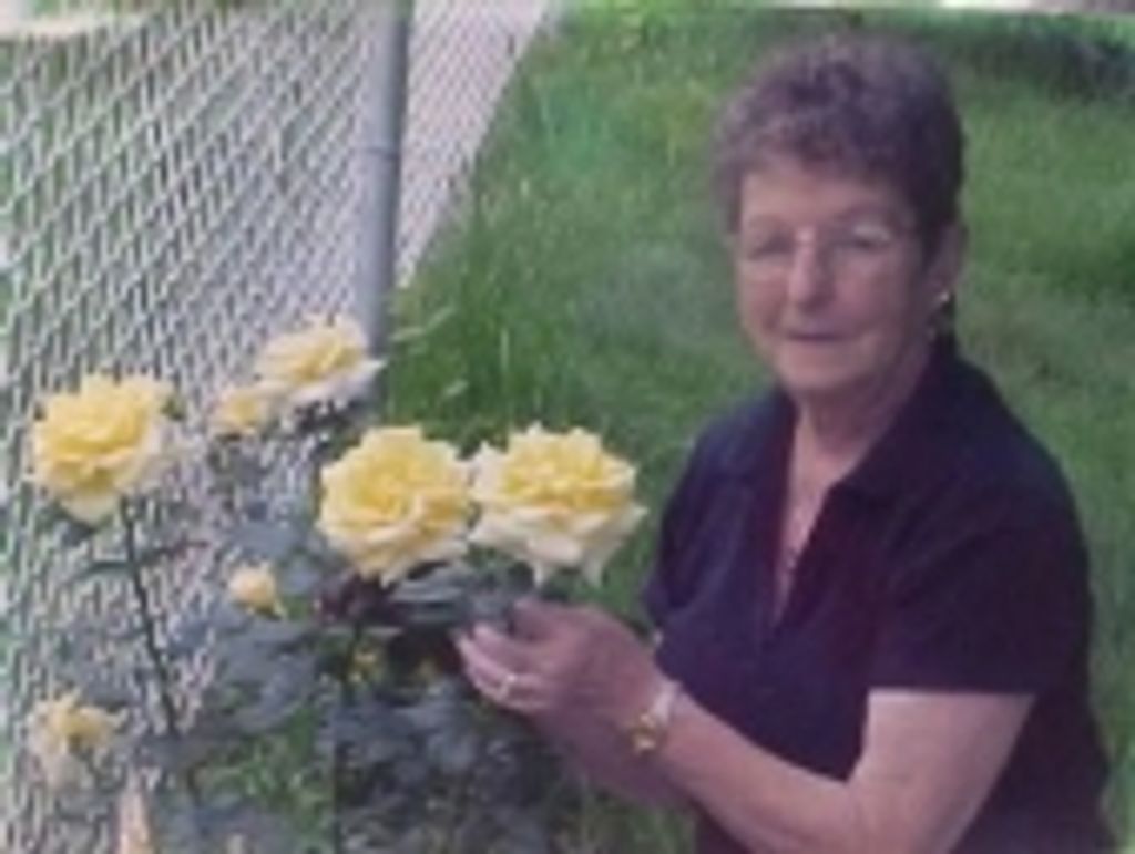 Carole A Cochrane