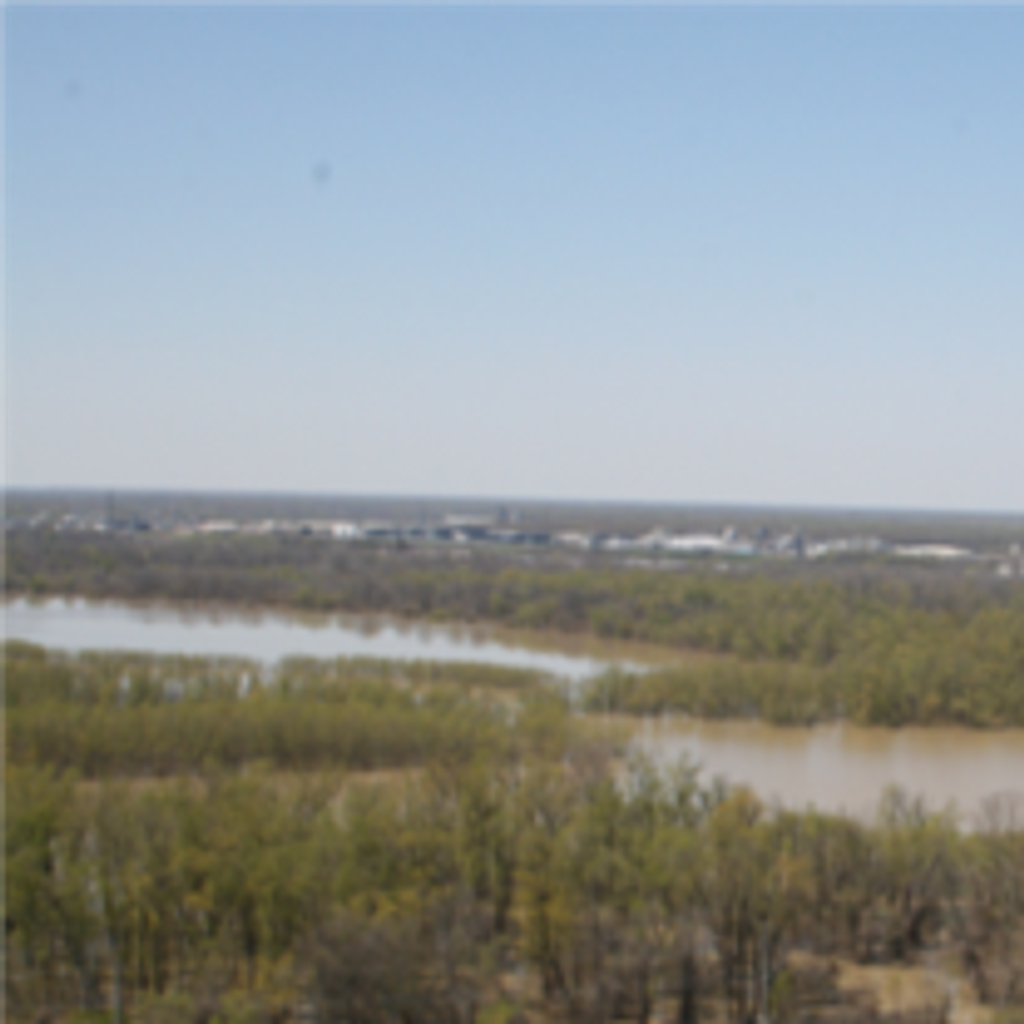 Catherine Willette Bowers Profile Photo