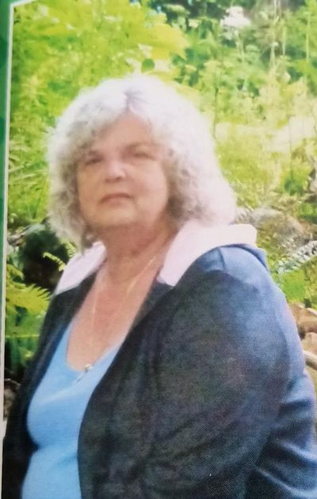 June Ellen Walsh Profile Photo