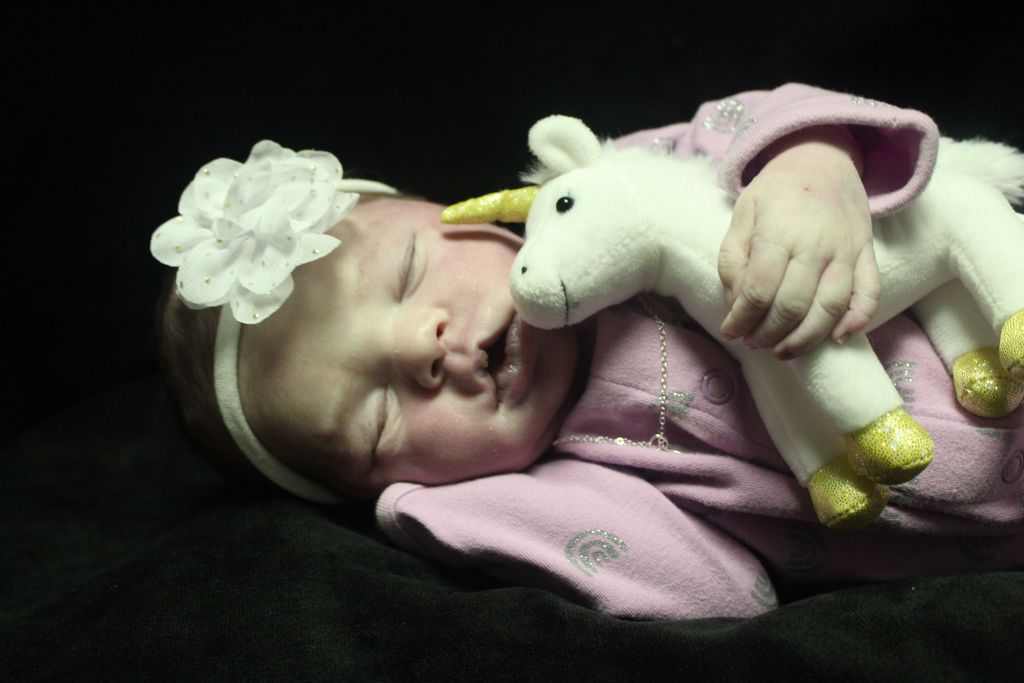 Holly Hunt Profile Photo