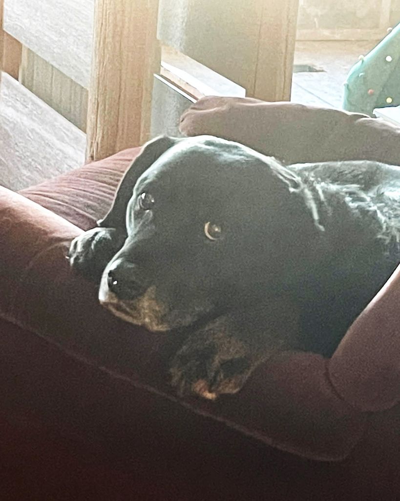 Shadow Profile Photo