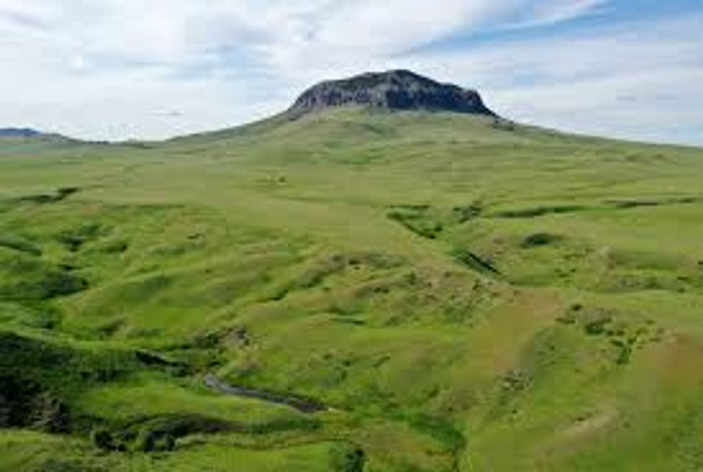 Joseph Henry Bidwell