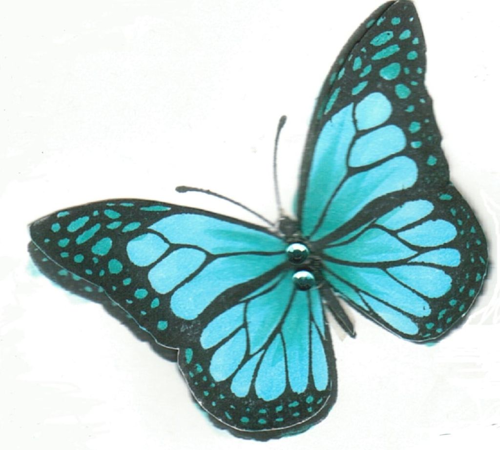 Sally Ann Mccaulley