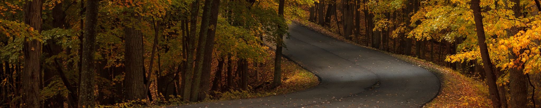 Cover photo for Barbara J. Purvis's Obituary