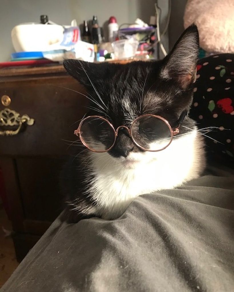 Bon Bon Astleford Profile Photo