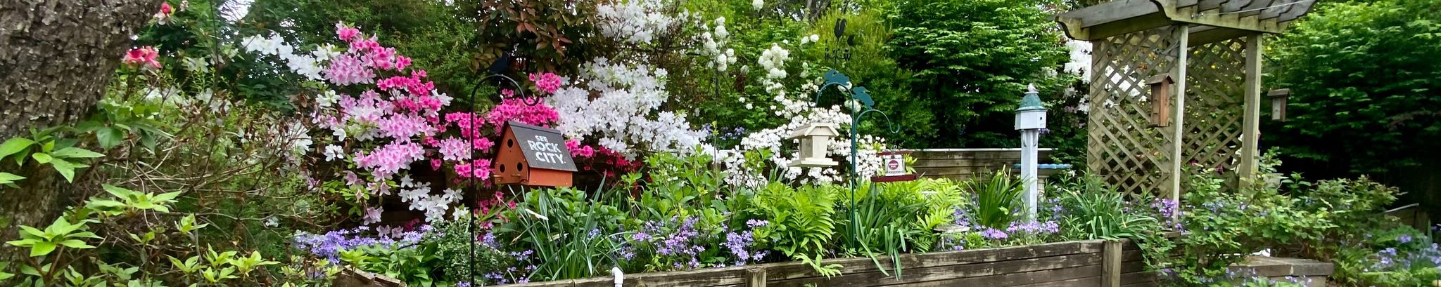 Cover photo for Kathleen Vail Brown's Obituary