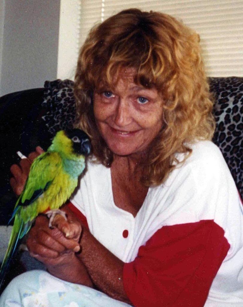 Linda Sue Norheim Profile Photo