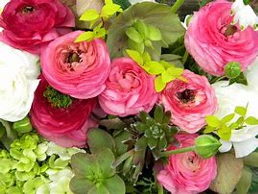 Catherine R. Davis Profile Photo