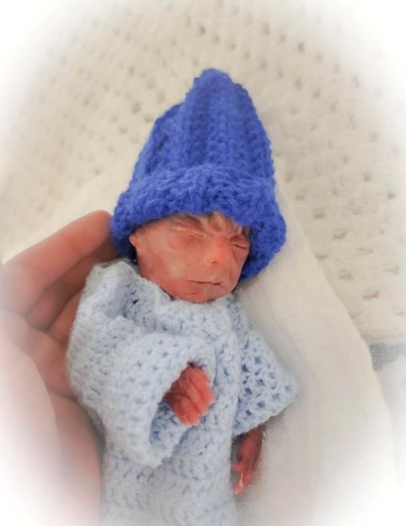 Colton Ridge Rogers