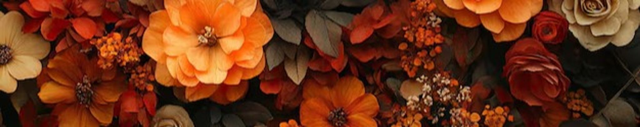 Cover for Anna Grace Gresh's Obituary