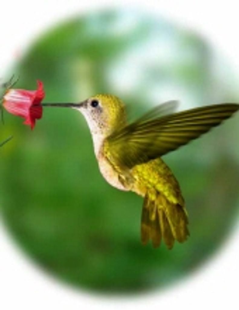 Eula Mae Cheney -Gfh