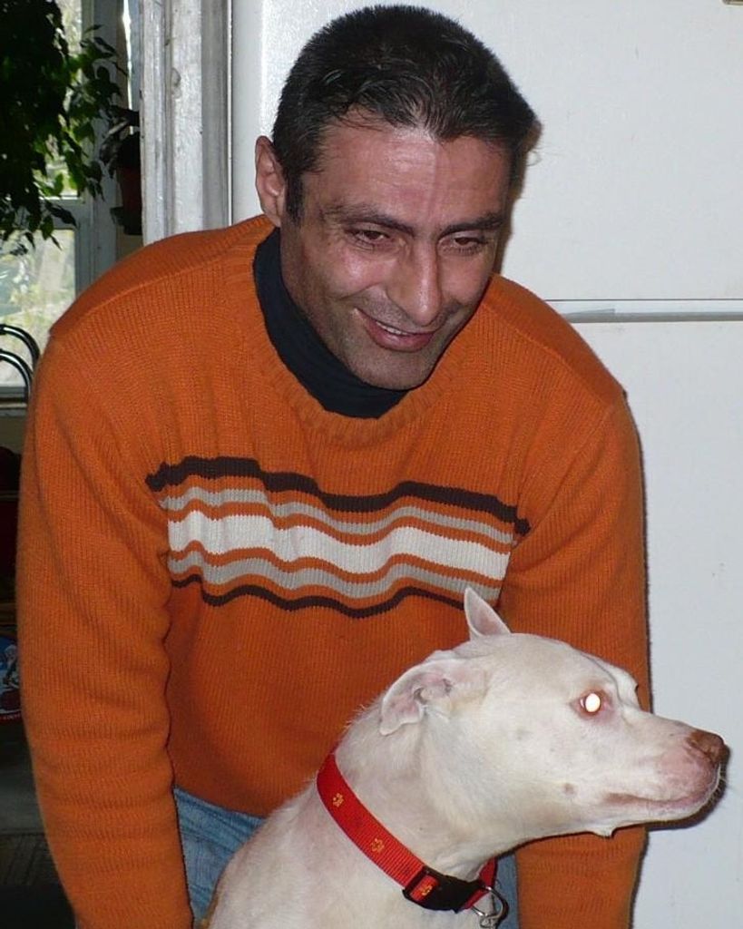 Domenico Micciche