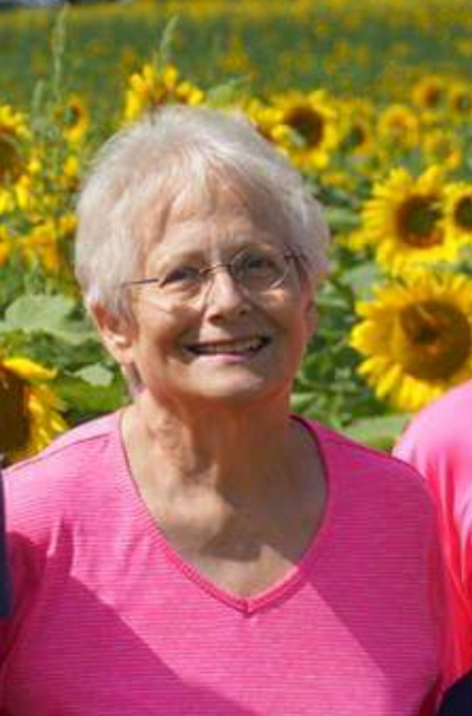 Donna Povilaitis