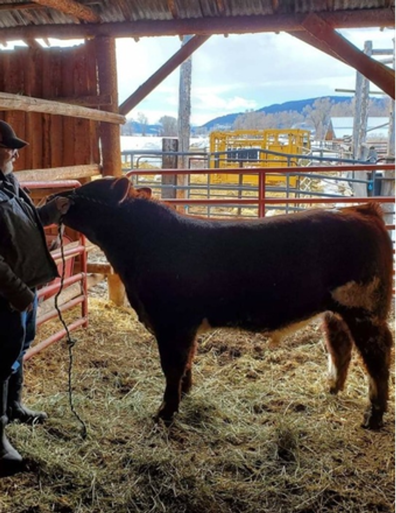 Jon Paul Crook Profile Photo