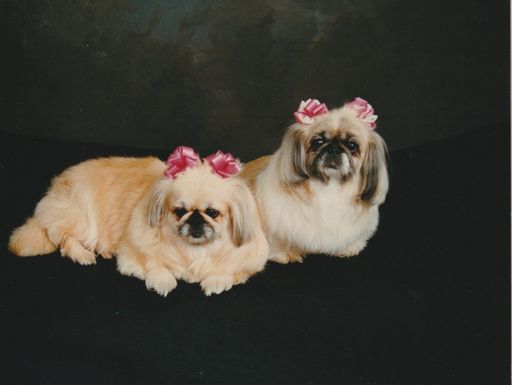 Dana L. Godfrey Baker photo gallery thumbnail 9 of 11