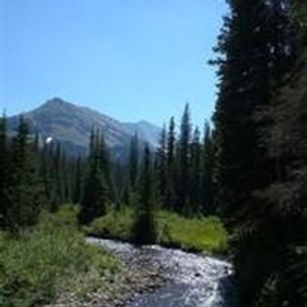 Donald Van Templeton Profile Photo