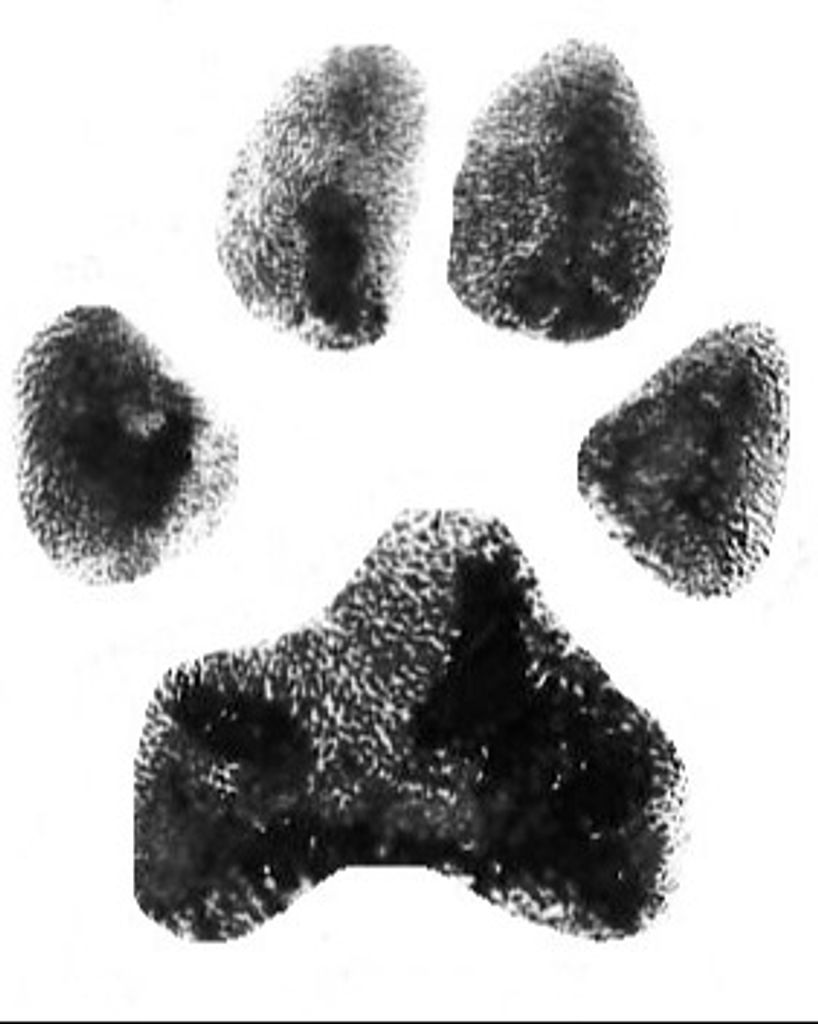 Brownie Roberts Profile Photo