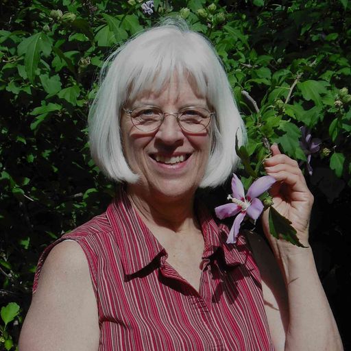 Ruthanne "Anne" Brinton