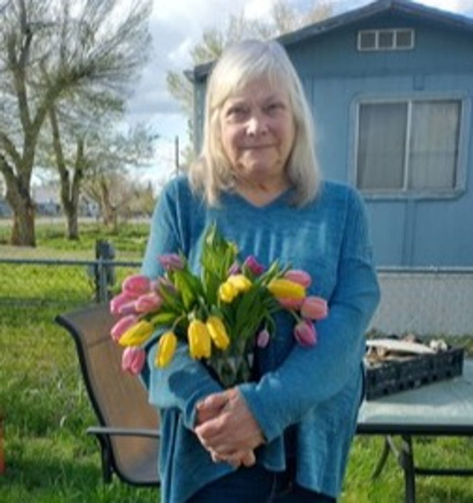 Toni Ann Platt