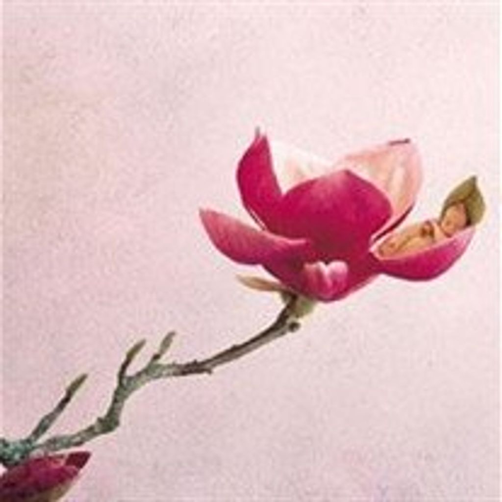 Margaret Norris