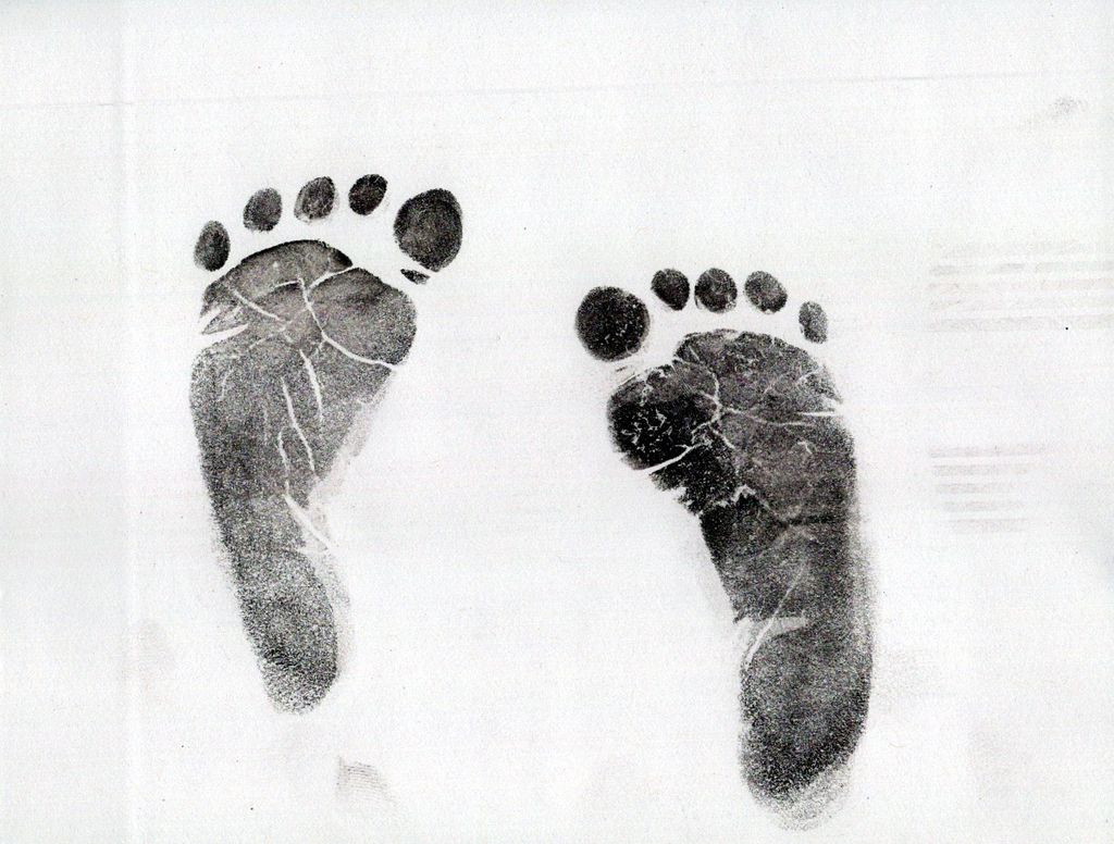 Lainey Rae Evans