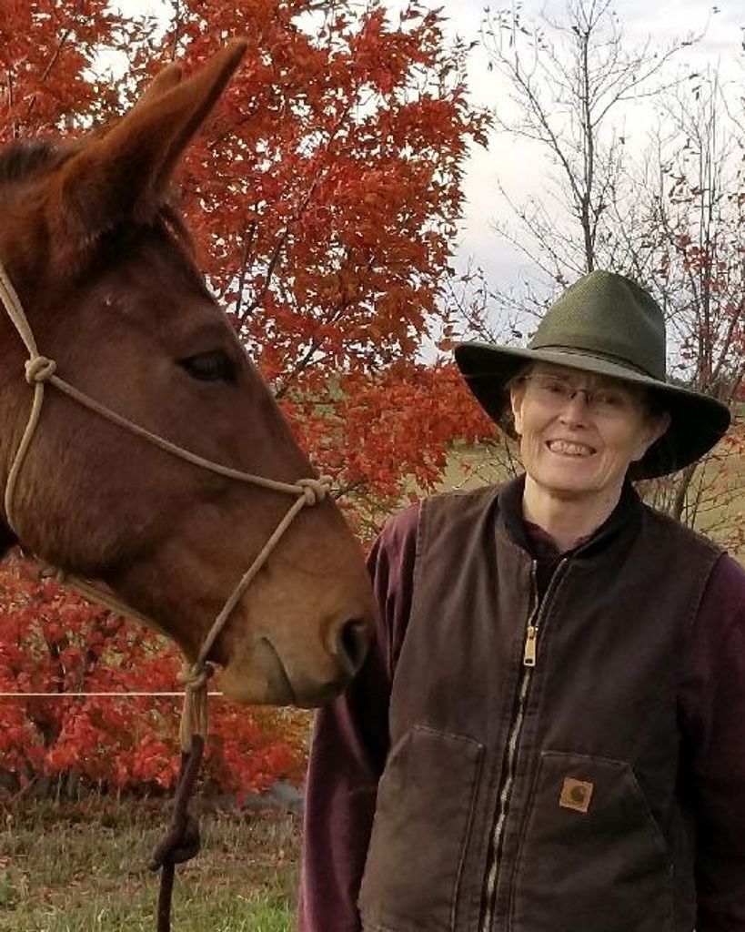 Nancy Ruland Profile Photo