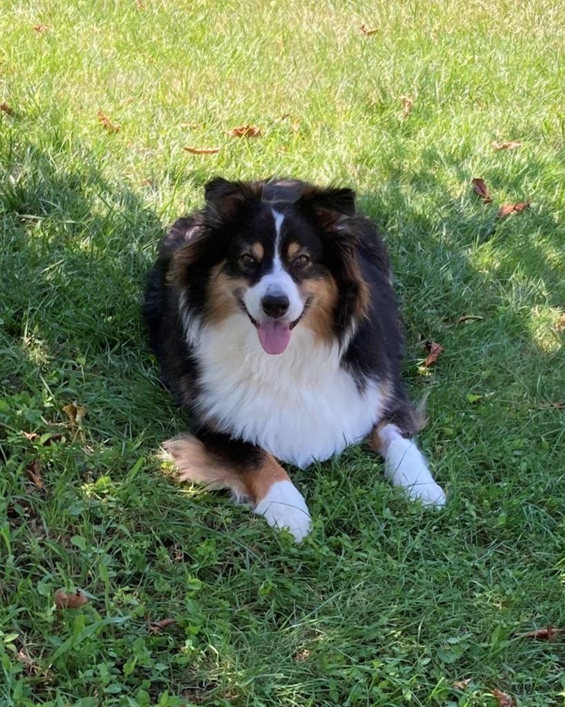 Brady