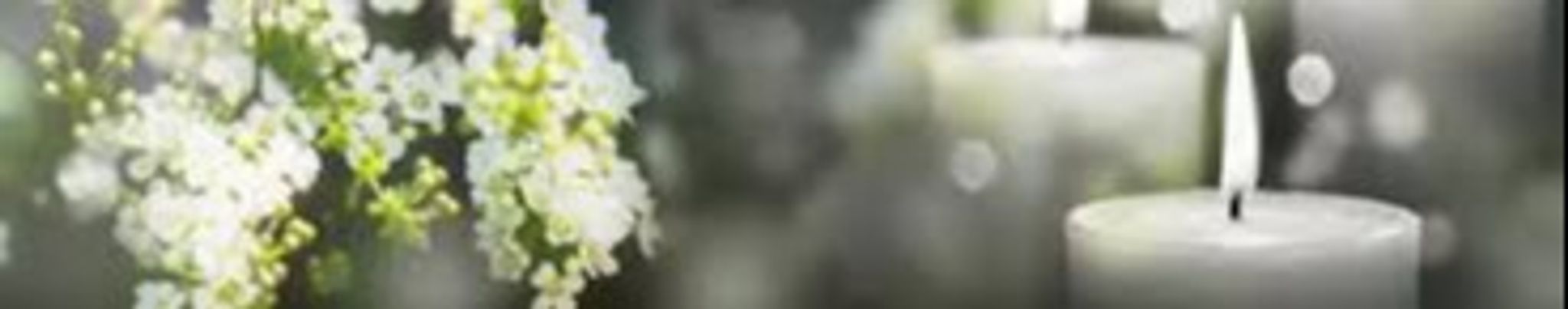 Cover photo for Helene Ann (Mangini) Johnsen's Obituary